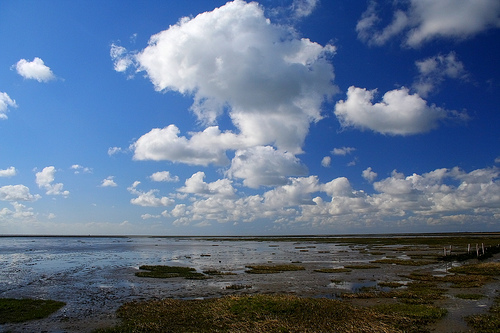 Lower Saxon Wadden Sea National Park
